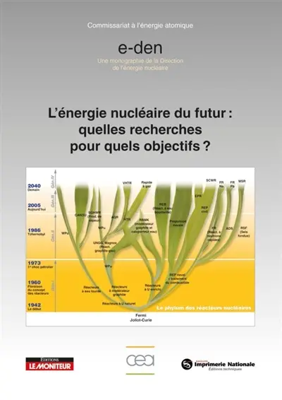 L'énergie nucléaire du futur : quelles recherches pour quels objectifs ? : une introduction aux monographies DEN