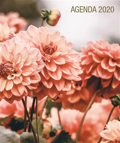 Agenda Prier 2020