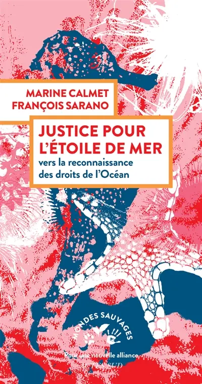 Justice pour l'étoile de mer : vers la reconnaissance des droits de l'océan