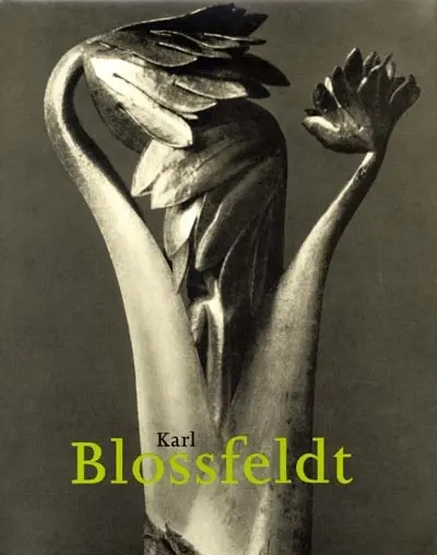 Karl Blossfeldt