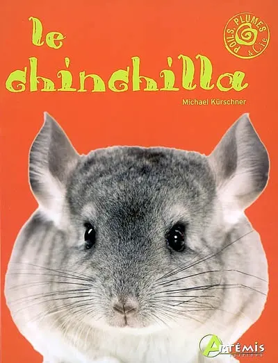Le chinchilla