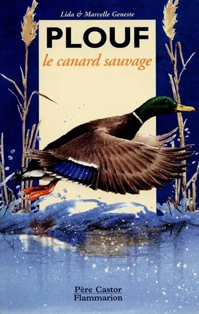 Plouf, le canard sauvage