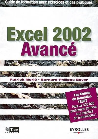 Excel 2002 avancé : guide de formation avec exercices et cas pratiques