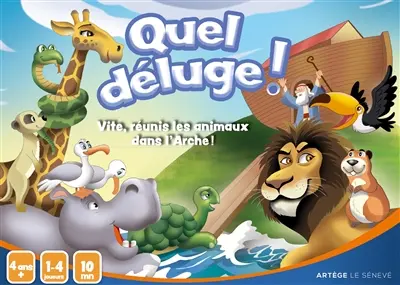 Quel déluge ! : vite, réunis les animaux dans l'arche !