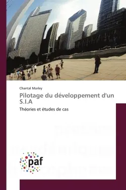 Pilotage du développement d'un S.I.A : Théories et études de cas