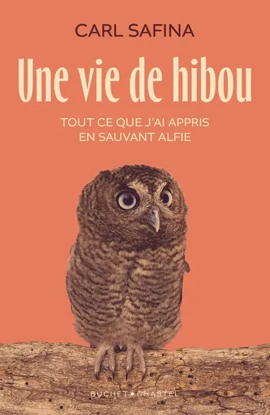 Une vie de hibou : tout ce que j'ai appris en sauvant Alfie