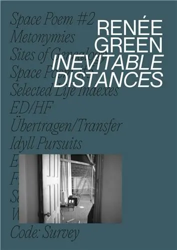 Renée Green Inevitable Distances
