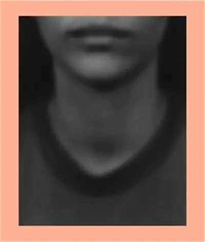 Keeper of the Hearth Picturing Roland Barthes´ Unseen Photograph