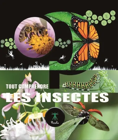 Les insectes