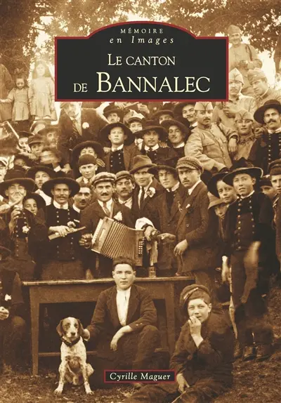 Le canton de Bannalec