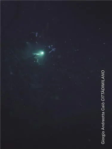 Giorgio Andreotta Calò : CITTADIMILANO