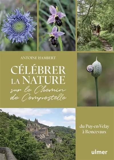 Célébrer la nature sur le chemin de Compostelle : du Puy-en-Velay à Roncevaux