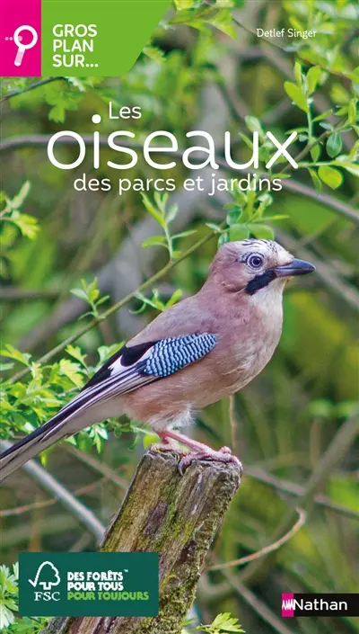 Gros plan sur les oiseaux des parcs et des jardins