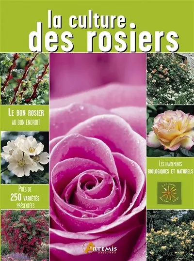 La culture des rosiers