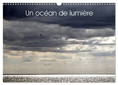 Un océan de lumière (Calendrier mural 2026 DIN A3 vertical), CALVENDO calendrier mensuel : Jeu de lumière sur l'océan et la mer