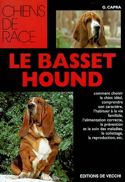 Le basset hound