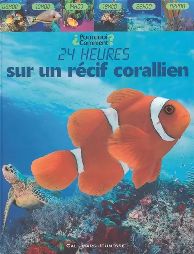 24 heures sur un récif corallien