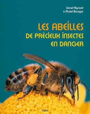 Les abeilles : de précieux insectes en danger