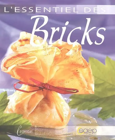 L'essentiel des bricks