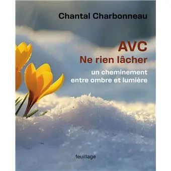 AVC, ne rien lâcher : un cheminement entre ombre et lumière