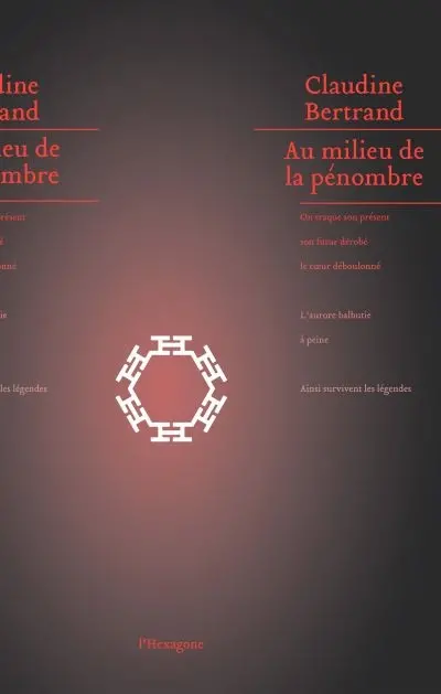 Au milieu de la pénombre