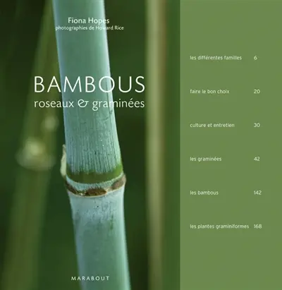 Bambous, roseaux & graminées