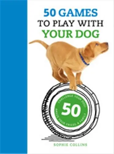 50 Games to Play With Your Dog
