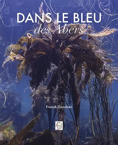 Dans le bleu des Abers