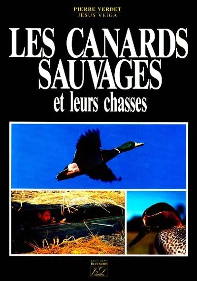 Les Canards sauvages et leurs chasses