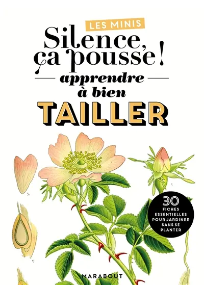 J'apprends les techniques de taille : pour des plantes en pleine santé