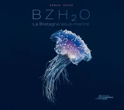 BZH2O : la Bretagne sous-marine