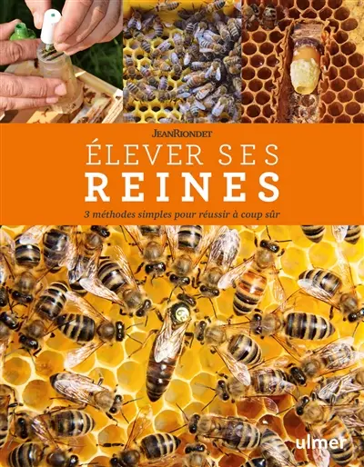Elever ses reines : 3 méthodes simples pour réussir à coup sûr