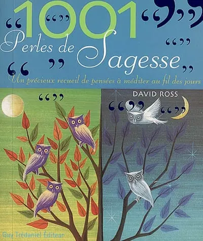 1.001 perles de sagesse : un précieux recueil de pensées à méditer au fil des jours