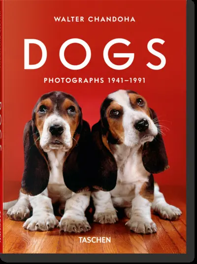 Dogs : photographs 1941-1991
