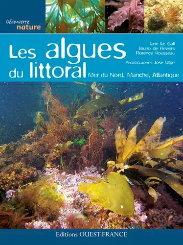 Les algues du littoral : mer du Nord, Manche, Atlantique