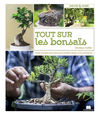 Les bonsaïs : toutes les techniques pour bien débuter et bien s'en occuper