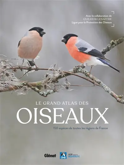 Le grand atlas des oiseaux : 150 espèces de toutes les régions de France