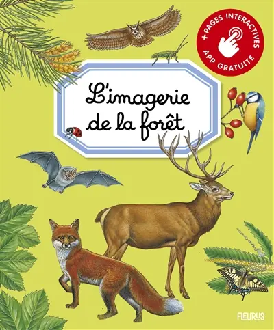 L'imagerie de la forêt