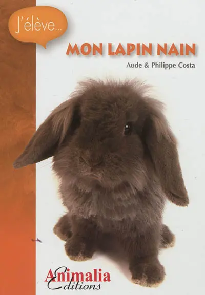 Mon lapin nain