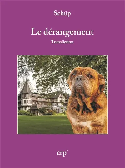 Le dérangement : transfiction