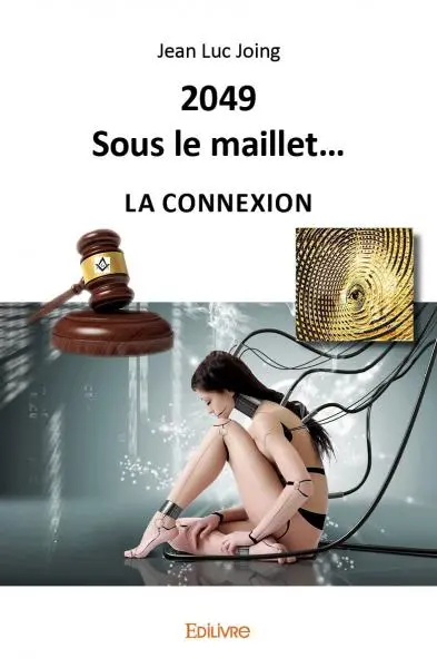 2049sous le maillet... : La Connexion
