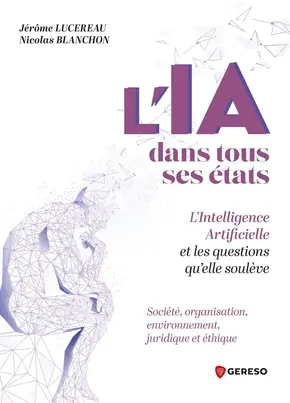 L'IA dans tous ses états : l'intelligence artificielle et les questions qu'elle soulève : société, organisation, environnement, juridique et éthique