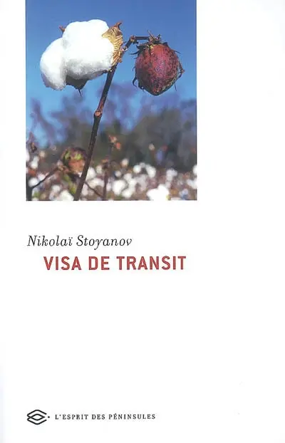 Visa de transit