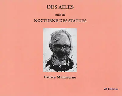 Des ailes. Nocturne des statues