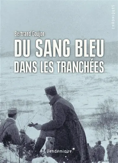 Du sang bleu dans les tranchées : expériences militaires de nobles français durant la Grande Guerre