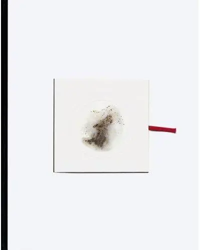 Cai Guo-Qiang Head On