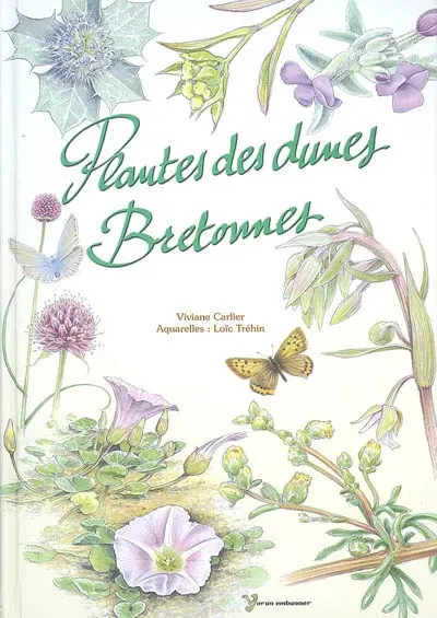 Plantes des dunes bretonnes