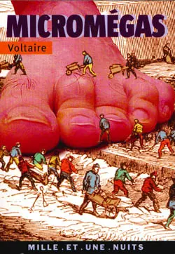 Micromégas