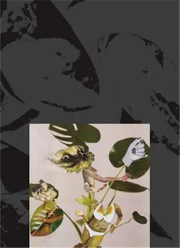 Kandis Williams : A Surface