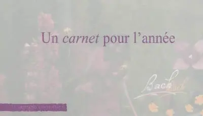 Un carnet pour l'année